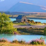 reasons to move to New Zealand