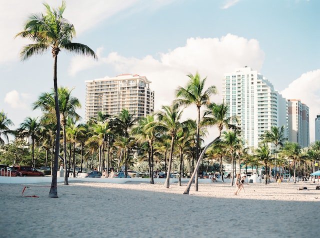Moving to Miami 4
