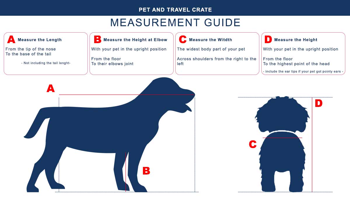 PET Measurement asiarelocation